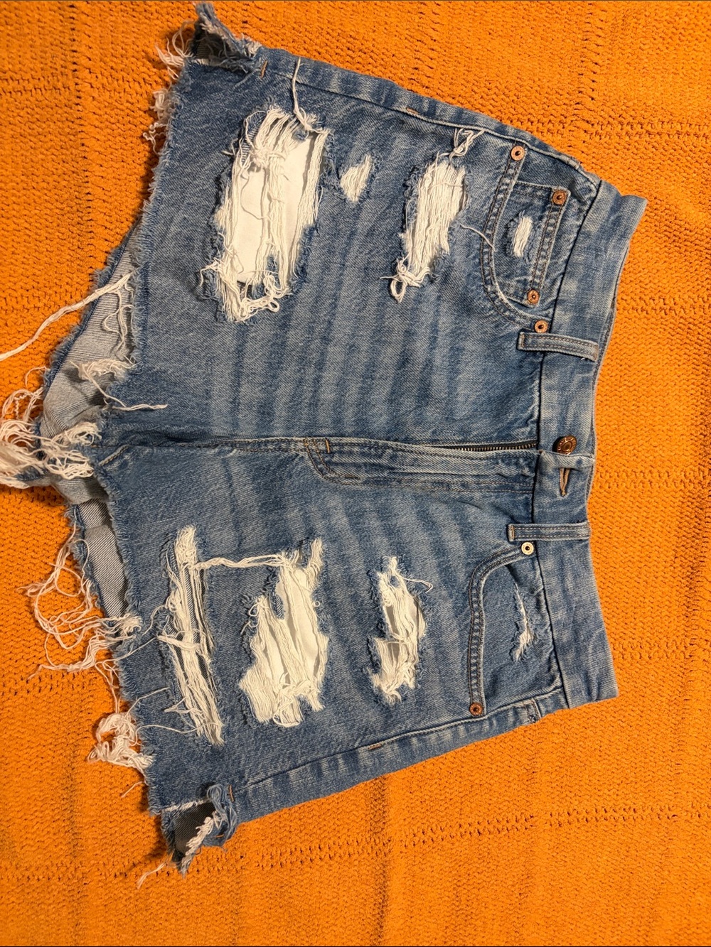 American Eagle Outfitters Distressed Light Blue Denim Jean Shorts